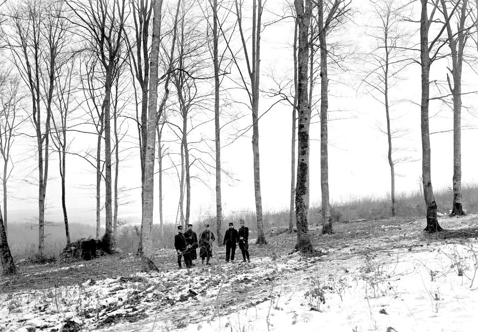 Stellung einer franz. Batterie beim Grenzstein 143 - CH-BAR - 3238037