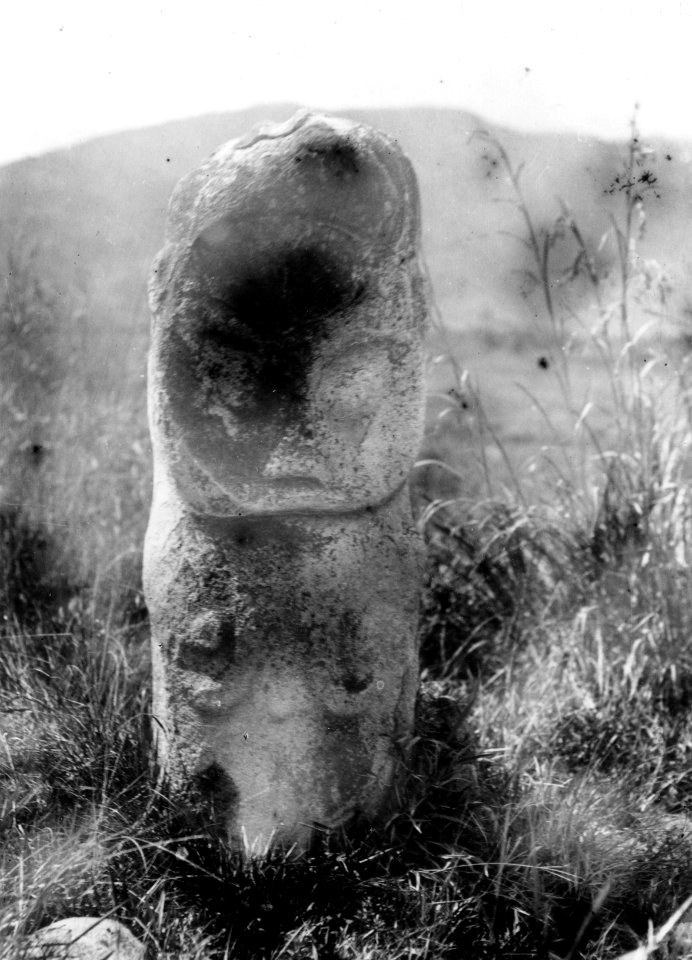 Stenfigur kallad Tadoelakoe. W. Kaudern, Megalithic finds in Central Celebes. ESC 5. Gbg. 1938. Fig - SMVK - 010702