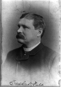 Stephen Dudley Field, 1846-1913, bust portrait, facing left LCCN2005685789