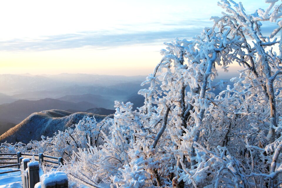 Nature mountain frost