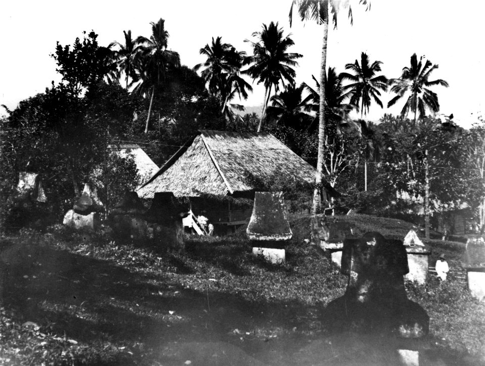 Stengravar. Sulawesi. Indonesien - SMVK - 010688