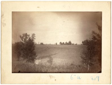 Steppe country between Barnaoul (i.e., Barnaul) and Tomsk. Grain fields in distance LCCN99615449
