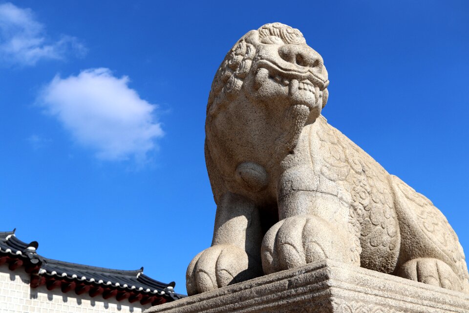 Tiger seoul korea