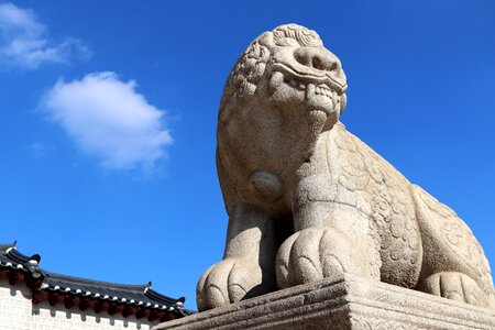 Tiger seoul korea