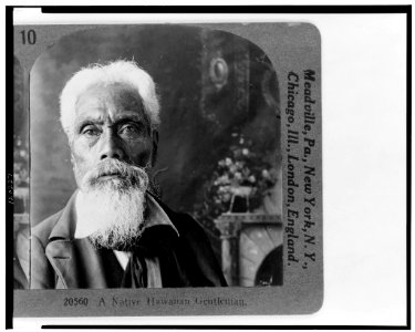 Stereograph Cards of Hawaiian gentleman
