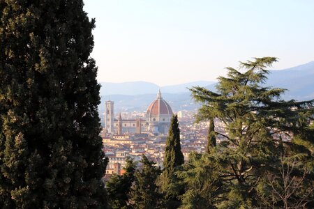 Travel firenze italy