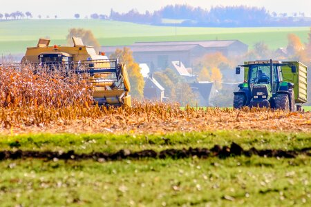 Fieldwork harvest corn photo