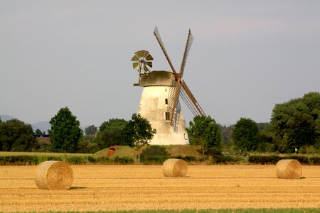 Windmill field harvest photo