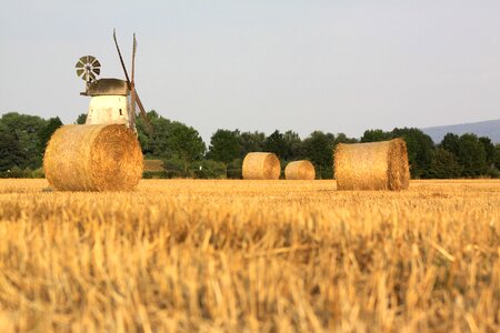 Windmill field harvest photo