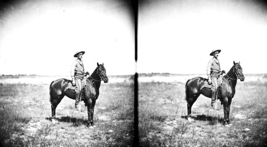 StevenHoveyHaydenSurvey