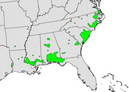 Stewartia malacodendron range map