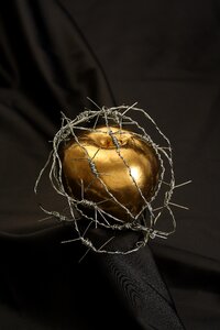 Gold painted forbidden fruit photo