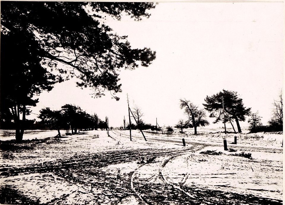Stimmungsbild bei Ustilug. (19-II.1918.) (BildID 15712219)