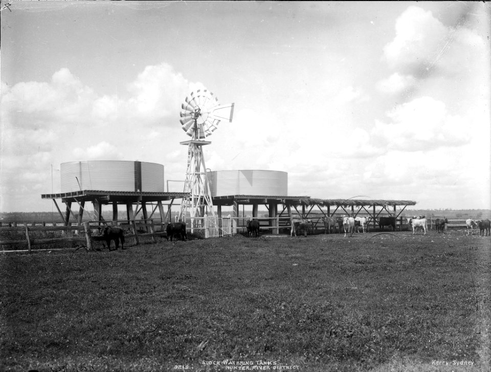 Stock watering tanks, Hunter River district from The Powerhouse Museum Collection
