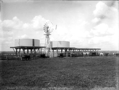 Stock watering tanks, Hunter River district from The Powerhouse Museum Collection photo