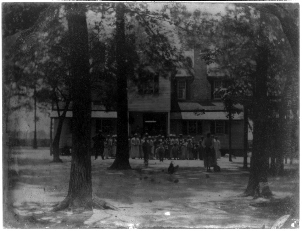 Stirrup Branch Plantation, Bishopville, S.C., on the 75th birthday of Capt. James Rembert, June 8, 1857 - rear view of house with slaves arranged by rank LCCN2003674139