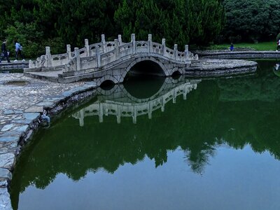 The scenery calm green