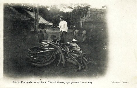 Stock d'ivoire à Ouesso (1904)