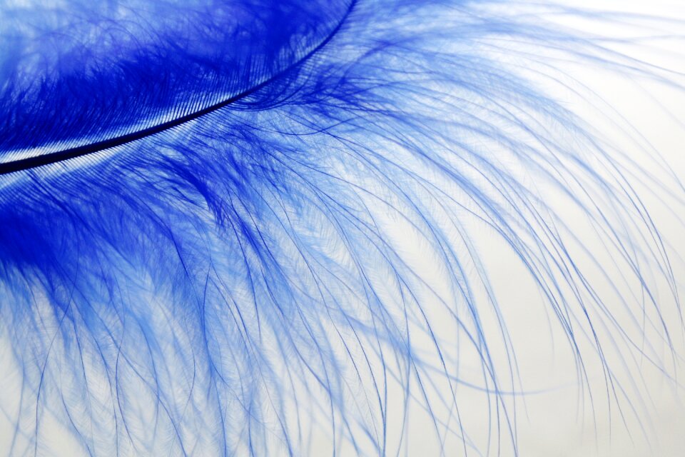 Blue colored slightly