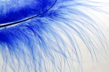 Blue colored slightly