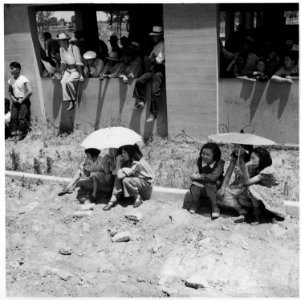 Stockton, California. These evacuees of Japanese ancestry are watching the arrival of buses bringin . . . - NARA - 537731