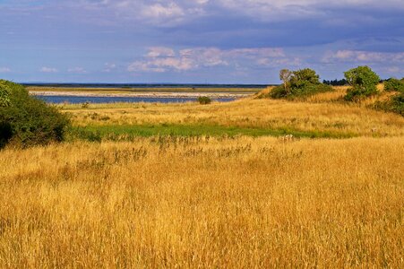 Island fyns hoved baltic sea photo