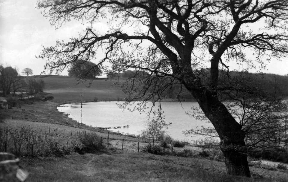 Stocksee bei Sande (Kiel 70.250)