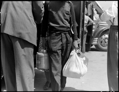 Stockton, California. These evacuees of Japanese ancestry are bringing fresh food with them to this . . . - NARA - 537732