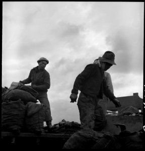 Stockton, California. Field crew of Japanese ancestry, unloading potato seed, prior to evacuation. - NARA - 537738 photo