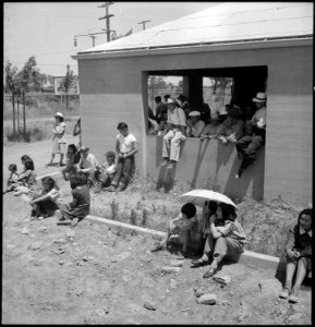 Stockton, California. Evacuees of Japanese ancestry have been at this Assembly center for several d . . . - NARA - 537730