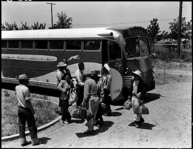 Stockton, California. People of Japanese ancestry from the Lodi district. Their identification num . . . - NARA - 537715