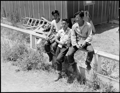 Stockton, California. These boys of Japanese ancestry are among the several at this Assembly center . . . - NARA - 537736