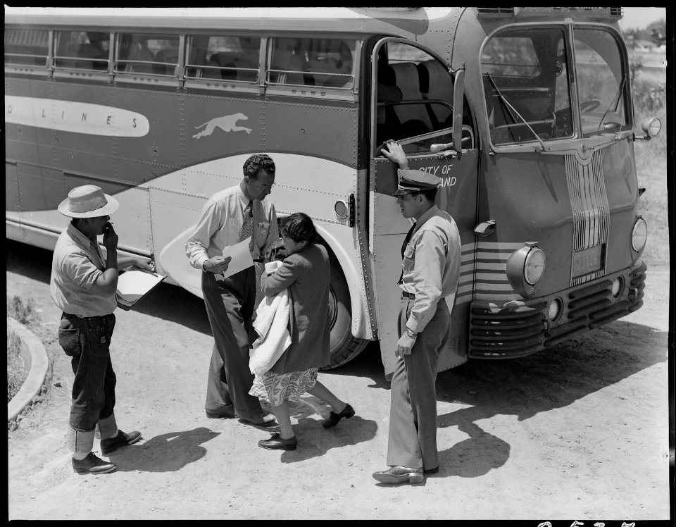 Stockton, California. Young mother of Japanese ancestry has just arrived at this Assembly center wi . . . - NARA - 537841