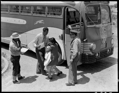 Stockton, California. Young mother of Japanese ancestry has just arrived at this Assembly center wi . . . - NARA - 537841