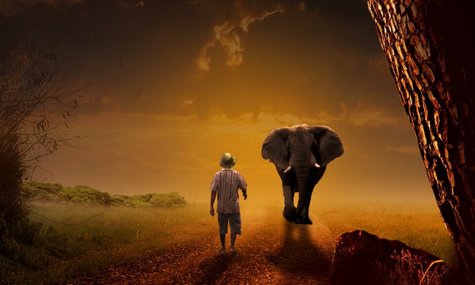 Path mammals caregiver