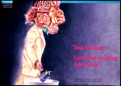 Stop smoking-come out smelling like a rose poster