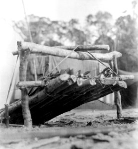 Stor slagfälla. 3 fotos. Lokal, Missionen Cavinas vid Rio Beni, Bolivia. Stam, Cavina - SMVK - 005917
