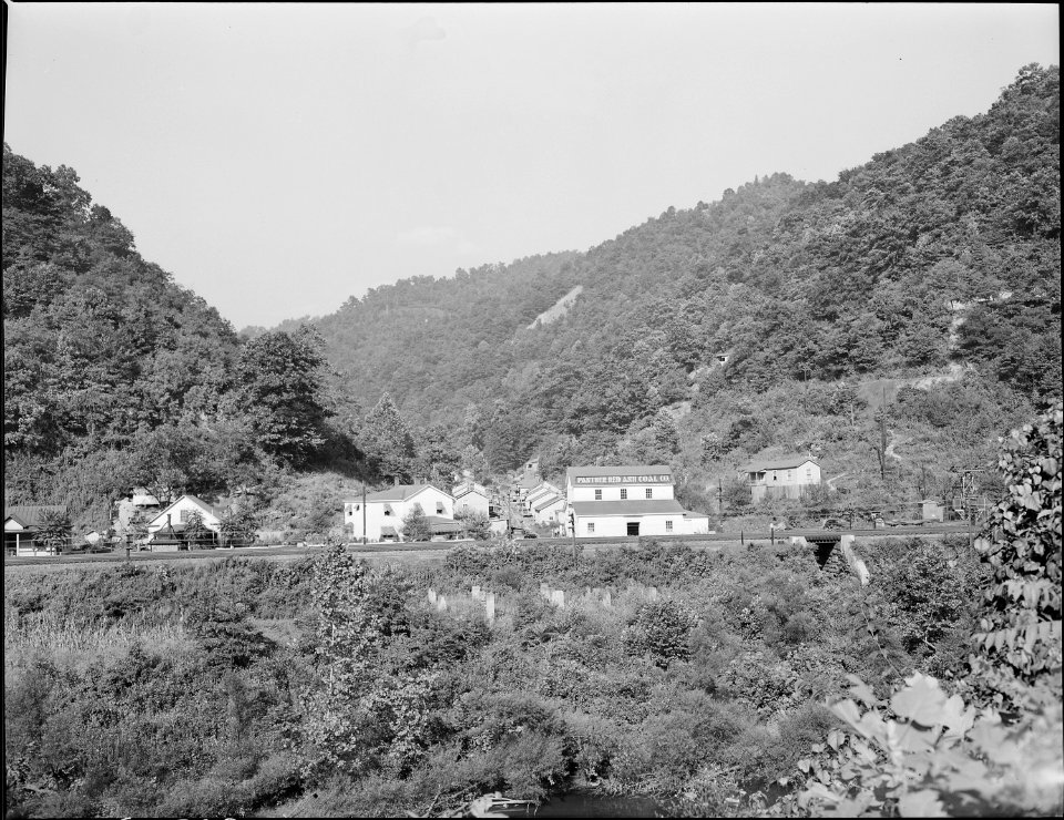 Store, offices, and some of the housing. Panther Red Ash Coal Company, Douglas Mine, Panther, McDowell County, West... - NARA - 541020