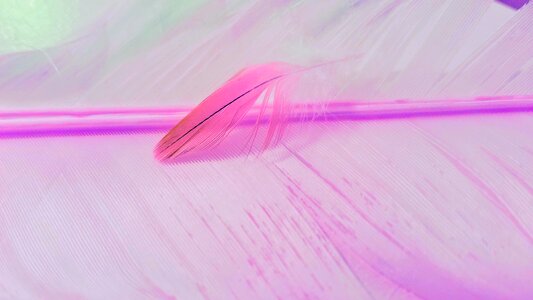 Art pattern feathers