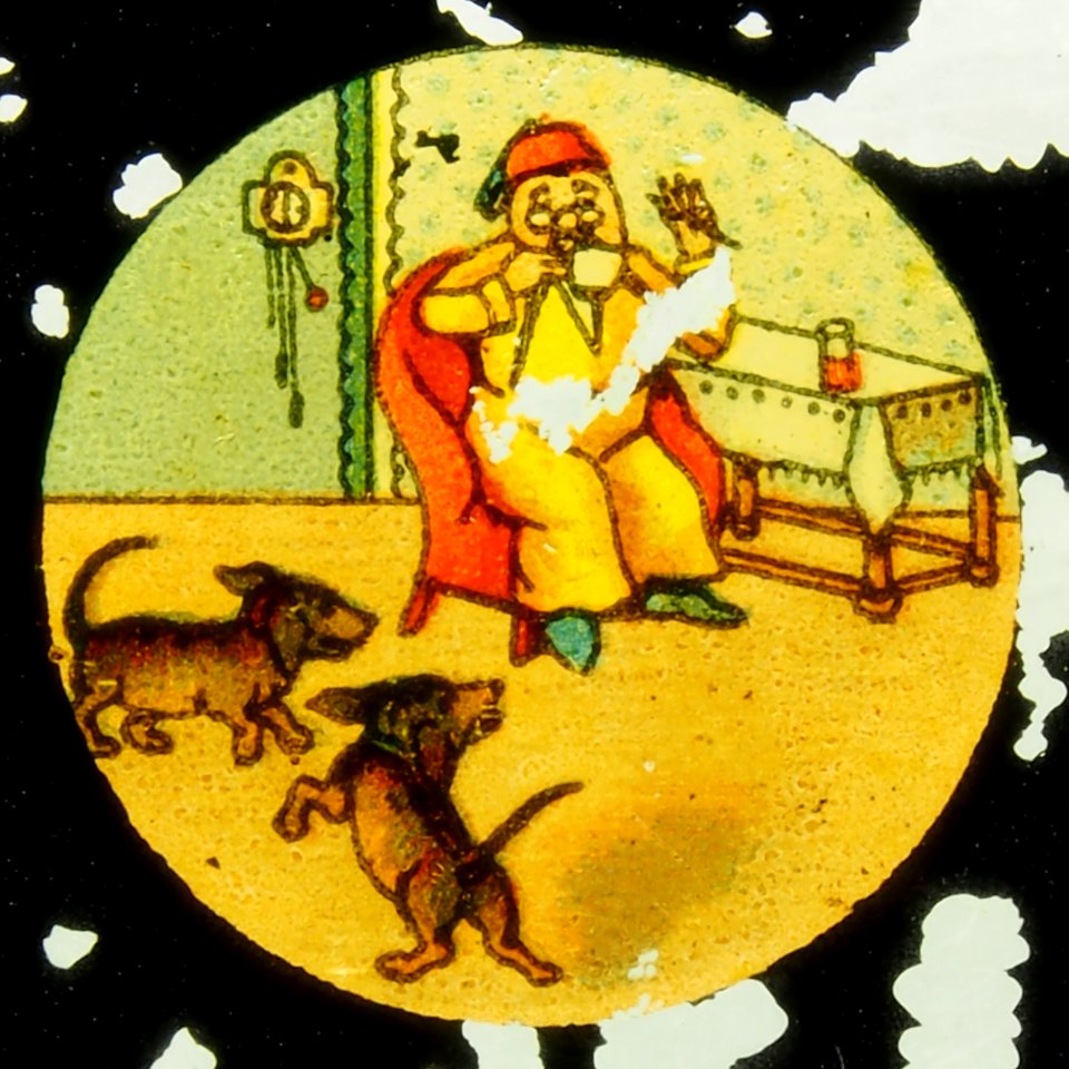 Story of a man and two dogs taking his shoes, picture 2