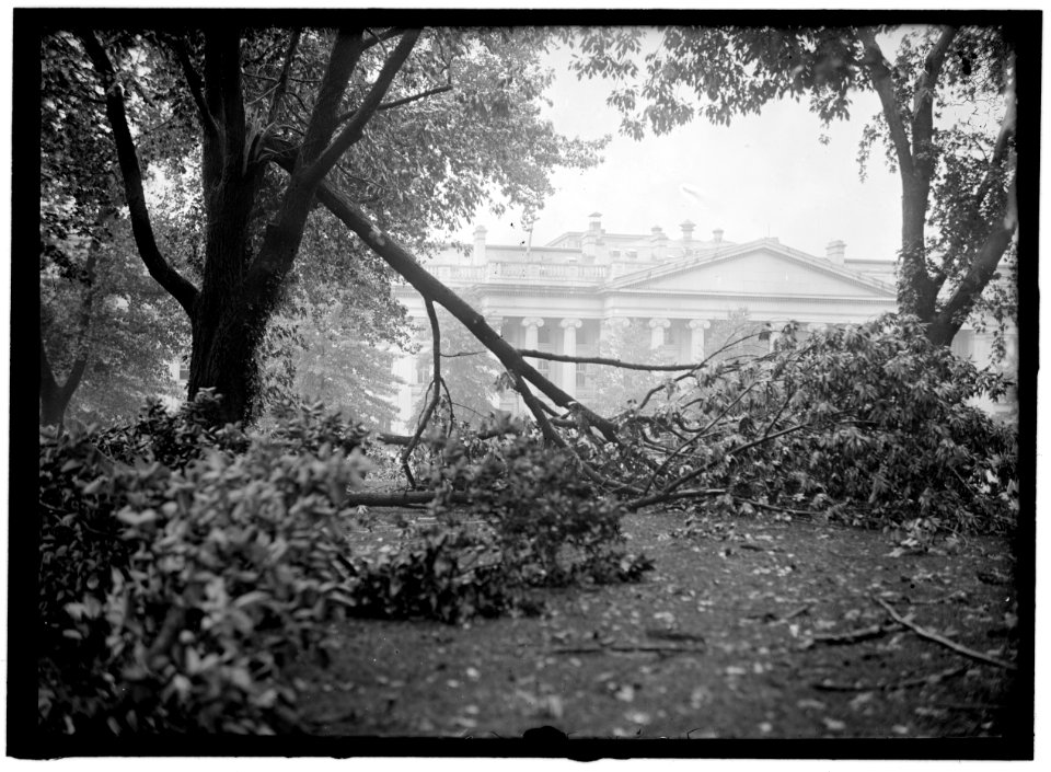 STORM DAMAGE LOC hec.02988