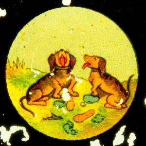 Story of a man and two dogs taking his shoes, picture 5