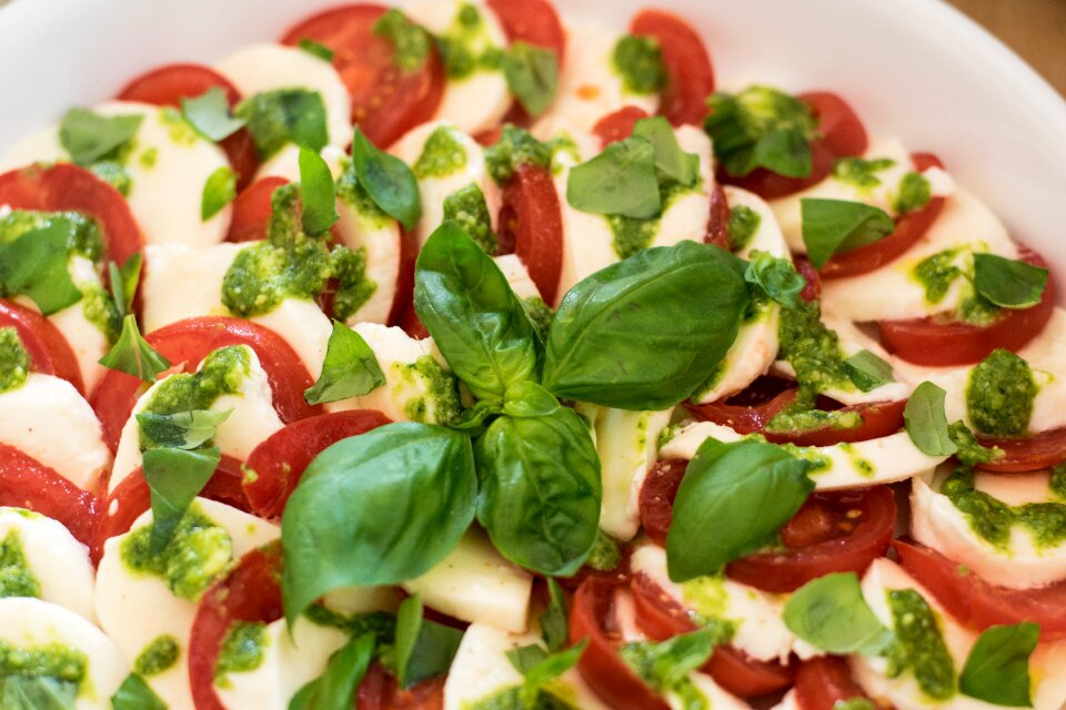 Cheese meal gourmet