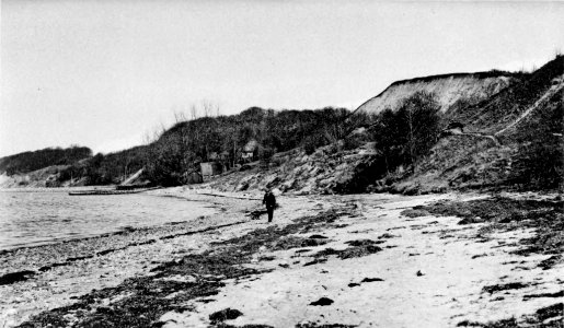 Strandabschnitt bei Möltenort (Kiel 44.818)