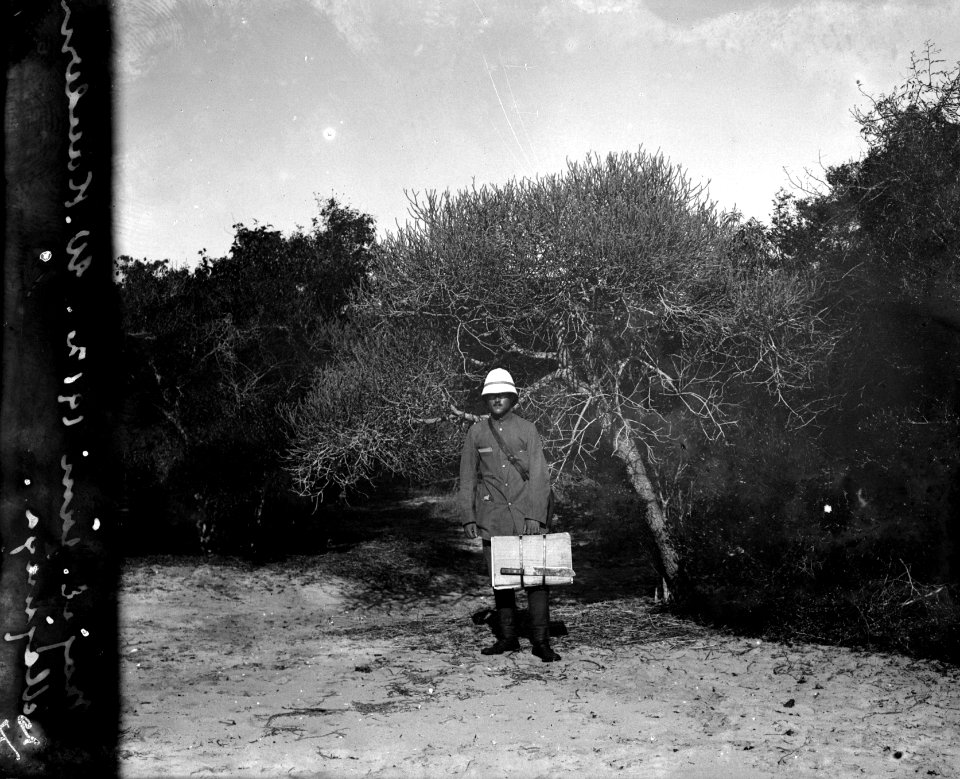 Strandvegetation. En Euphorbiacé i förgrunden jämte söta Kalle . Majunga, Mahajanga. Madagaskar - SMVK - 021987