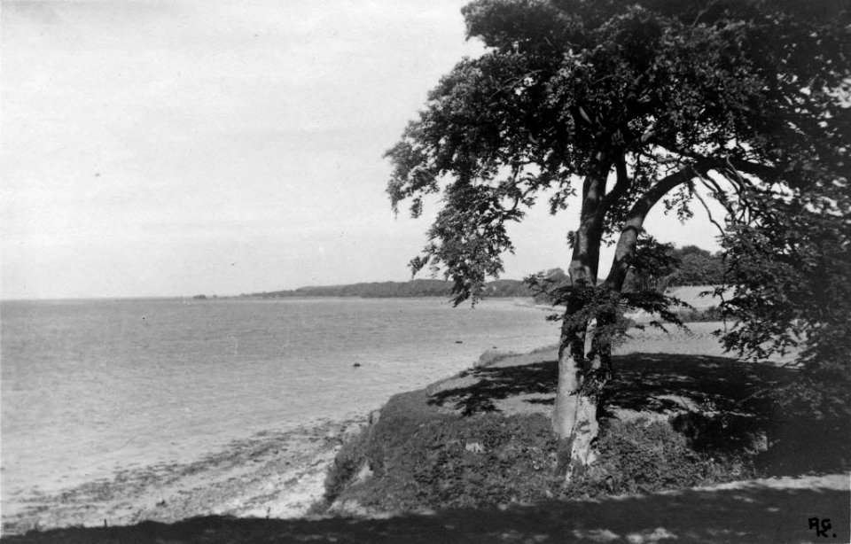 Strand bei Altenhof in der Eckernförder Bucht (Kiel 70.229)
