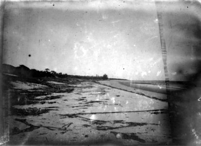 Stranden vid ebb. Datum, 1906. Ort, Amborovy, Madagaskar. Amborovy - SMVK - 021831