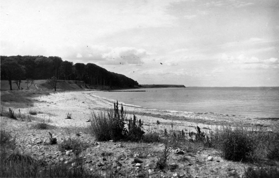 Strand und Haßberg bei Bülk (Kiel 70.233)