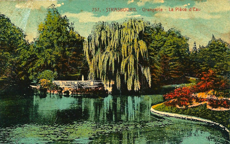 Strasbourg-CP(anté1940)-0013