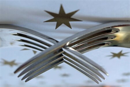 Metal metal fork table cover photo